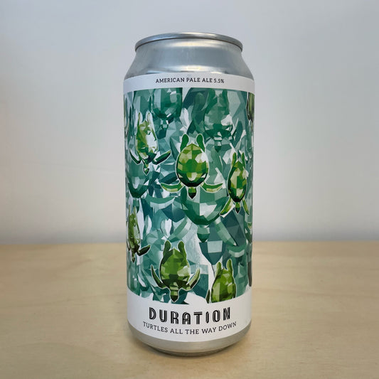 Duration Turtles All The Way (440ml Can)